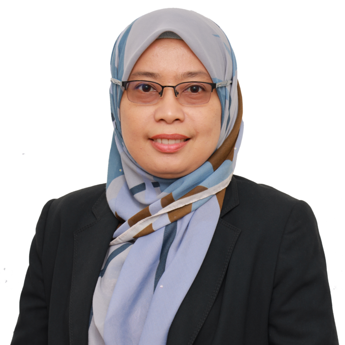 Assoc. Prof. Dr. Norailis Ab Wahab